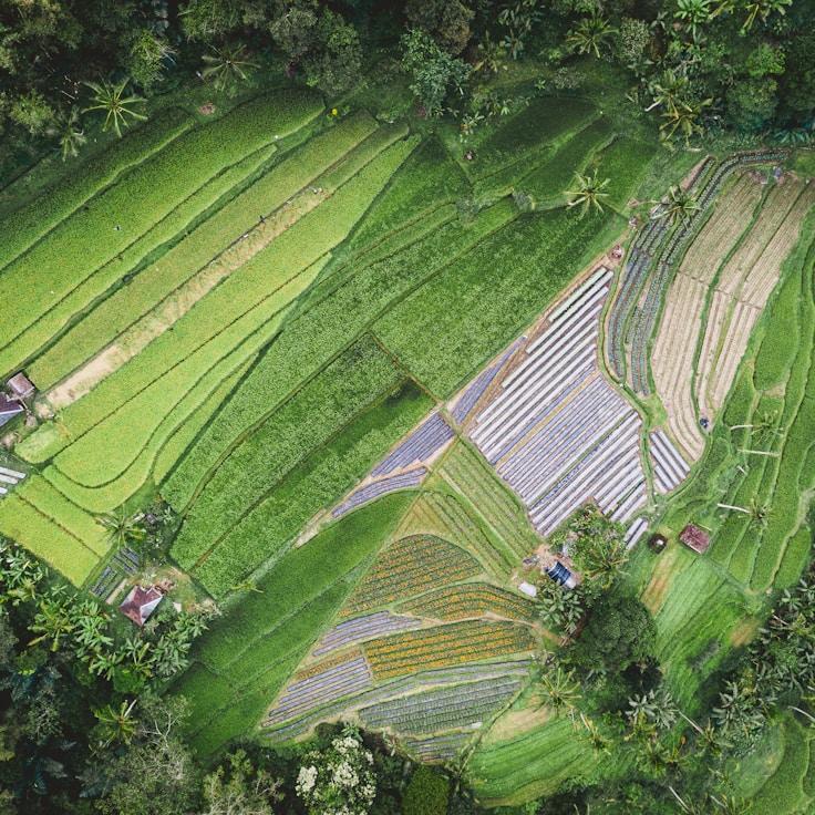 Family-friendly dining with comfortable seating